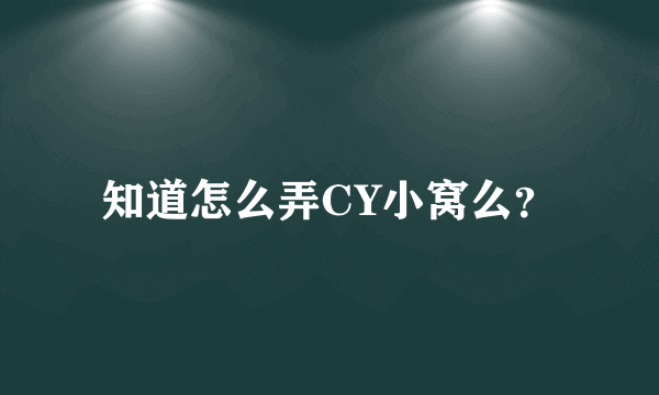 知道怎么弄CY小窝么？