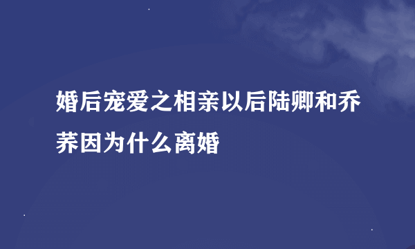 婚后宠爱之相亲以后陆卿和乔荞因为什么离婚