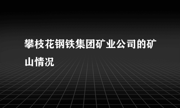 攀枝花钢铁集团矿业公司的矿山情况