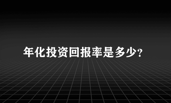 年化投资回报率是多少？