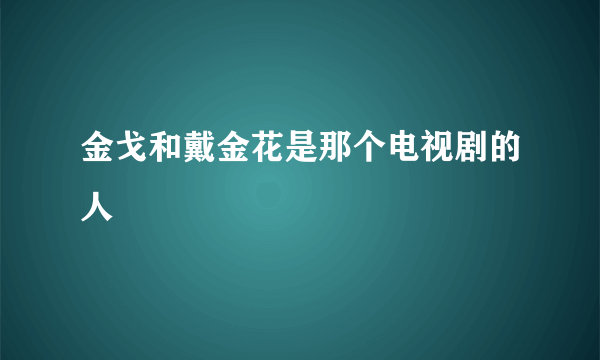 金戈和戴金花是那个电视剧的人