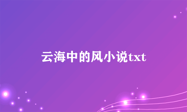 云海中的风小说txt