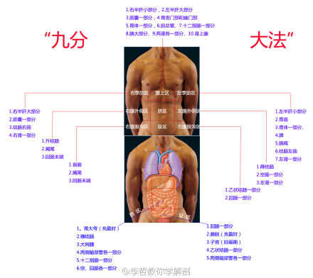 医学上九分法是怎么区分，各分区的名称