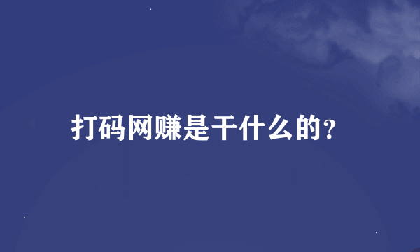 打码网赚是干什么的？