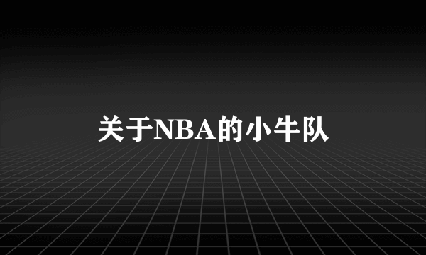 关于NBA的小牛队