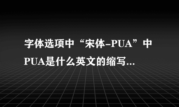 字体选项中“宋体-PUA”中PUA是什么英文的缩写还是拼音的缩写？什么意思呢？谢谢