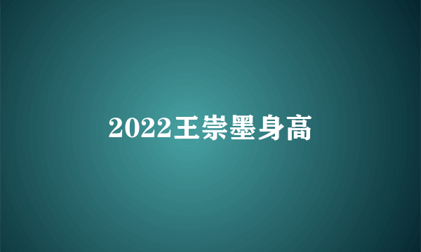 2022王崇墨身高