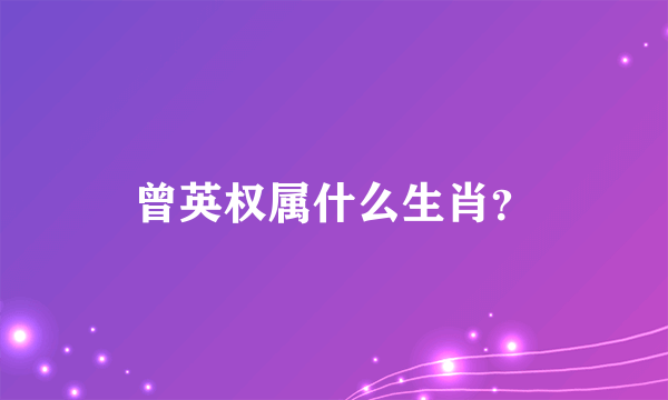 曾英权属什么生肖？