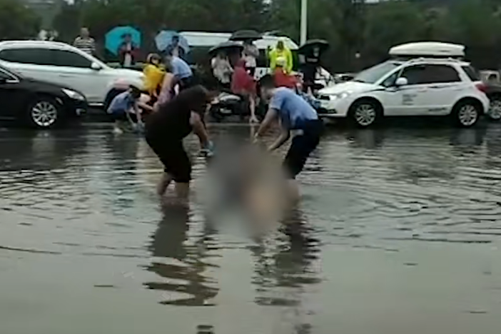 湖北襄阳暴雨后的积水路面出现年轻的漂浮女尸，有什么隐情？