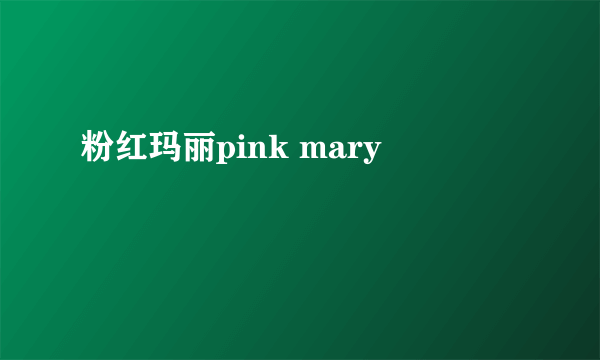 粉红玛丽pink mary