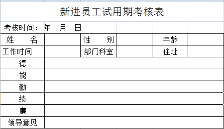 新进员工试用期考核表范文