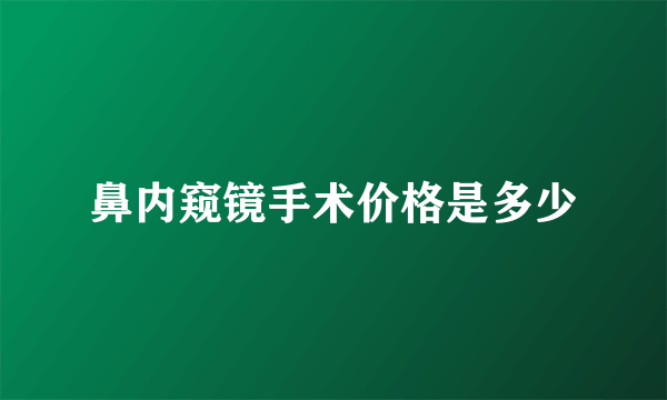 鼻内窥镜手术价格是多少