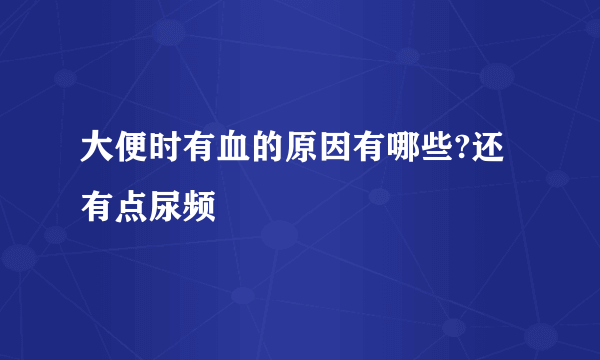 大便时有血的原因有哪些?还有点尿频