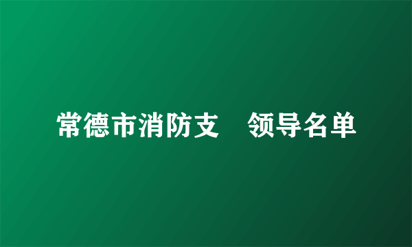 常德市消防支隊领导名单