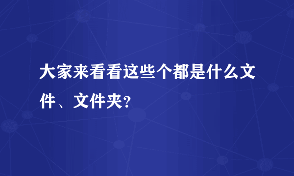 大家来看看这些个都是什么文件、文件夹？