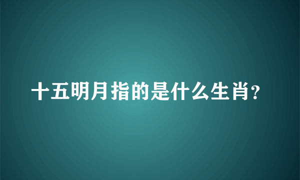 十五明月指的是什么生肖？