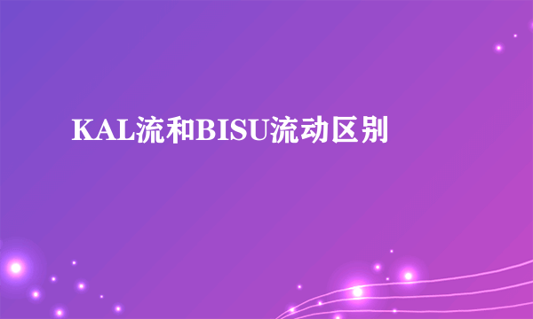 KAL流和BISU流动区别