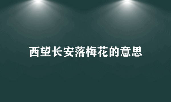 西望长安落梅花的意思