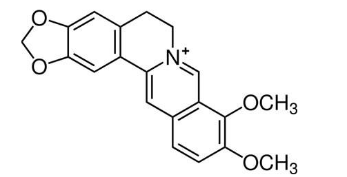 有机物的化学式