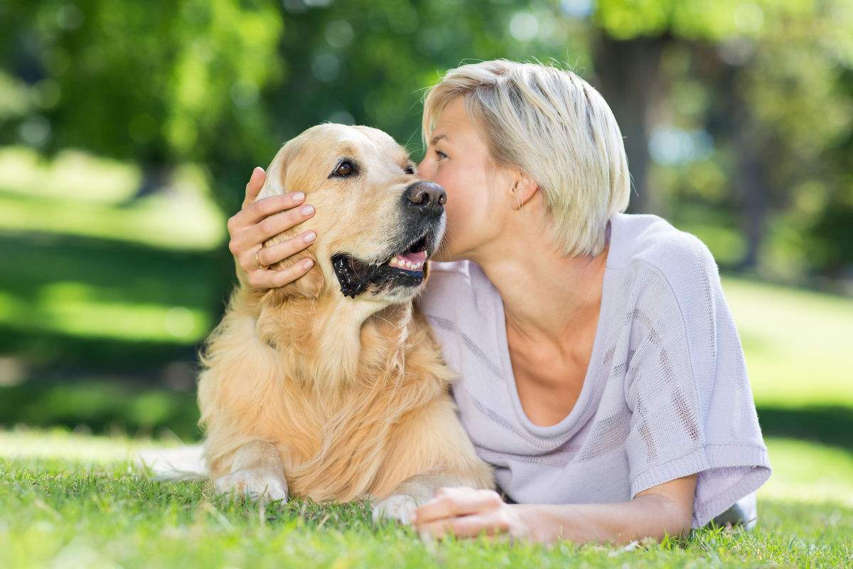 都有哪些平台可以出售宠物犬？