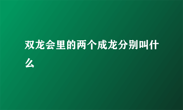 双龙会里的两个成龙分别叫什么