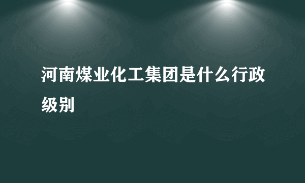 河南煤业化工集团是什么行政级别