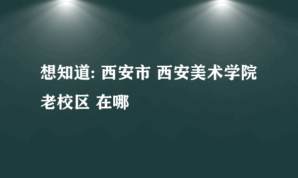 想知道: 西安市 西安美术学院老校区 在哪