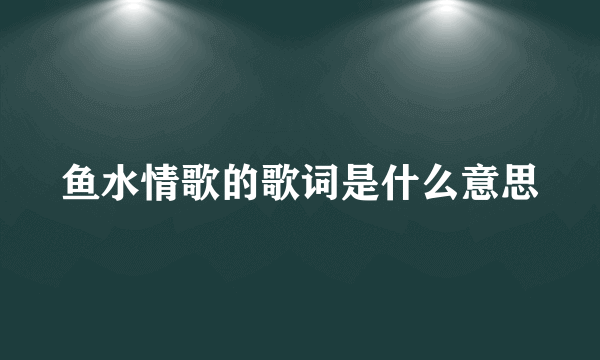 鱼水情歌的歌词是什么意思