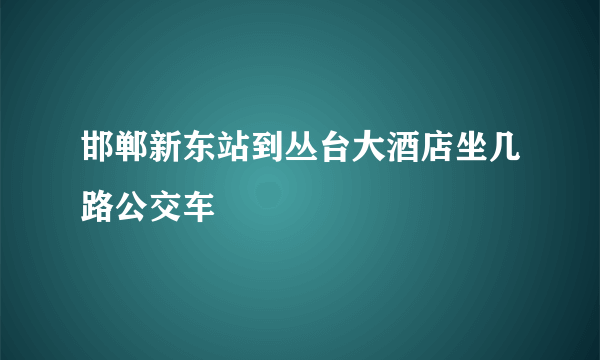 邯郸新东站到丛台大酒店坐几路公交车