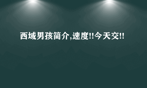 西域男孩简介,速度!!今天交!!