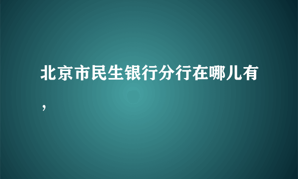 北京市民生银行分行在哪儿有，