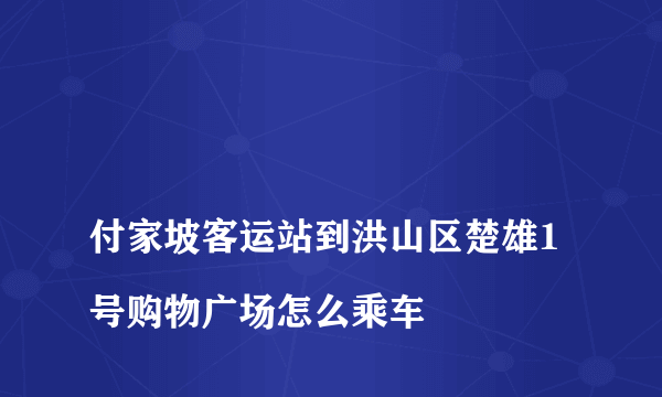 
付家坡客运站到洪山区楚雄1号购物广场怎么乘车

