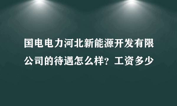 国电电力河北新能源开发有限公司的待遇怎么样？工资多少