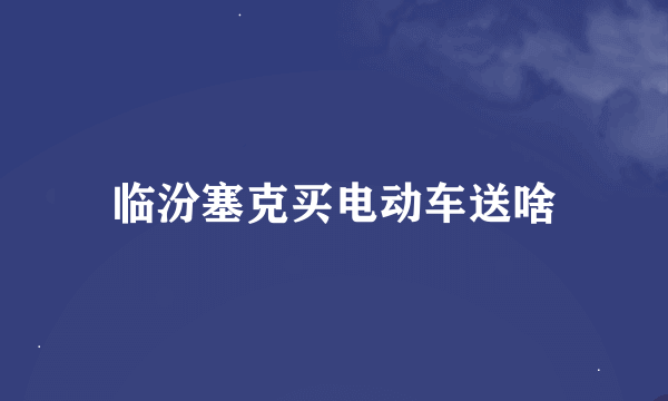 临汾塞克买电动车送啥