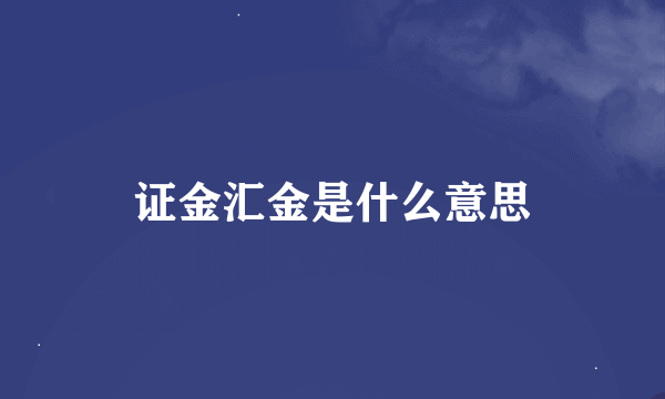 证金汇金是什么意思