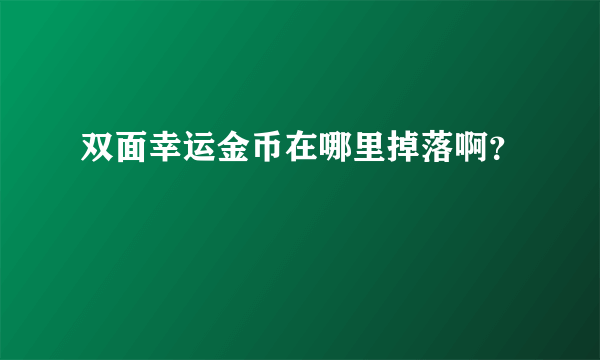 双面幸运金币在哪里掉落啊？