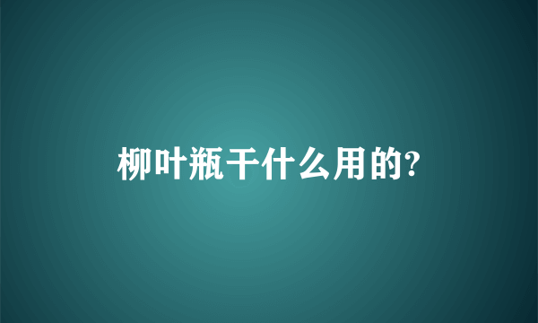 柳叶瓶干什么用的?