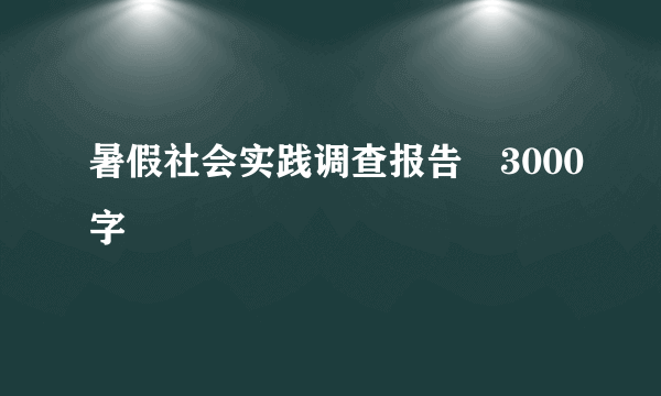 暑假社会实践调查报告　3000字