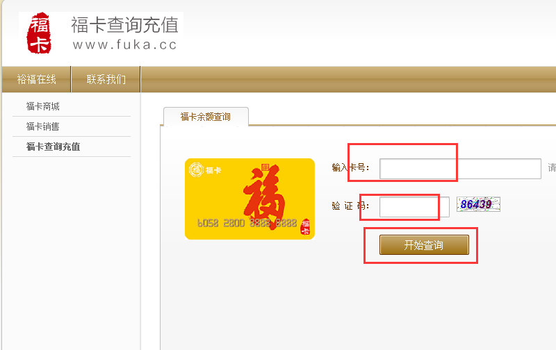 怎样在网上查福卡的余额