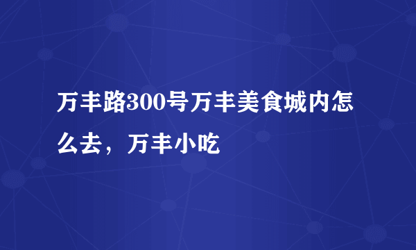 万丰路300号万丰美食城内怎么去，万丰小吃