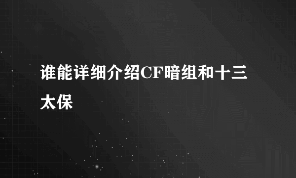 谁能详细介绍CF暗组和十三太保