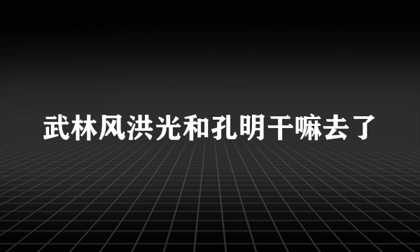 武林风洪光和孔明干嘛去了