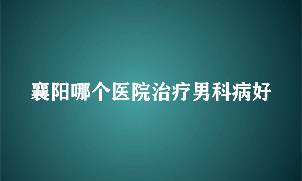 襄阳哪个医院治疗男科病好