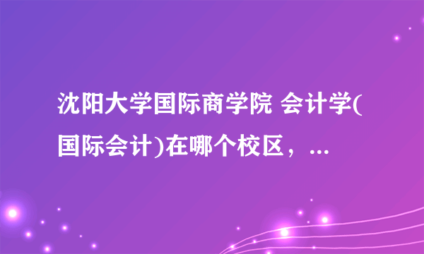 沈阳大学国际商学院 会计学(国际会计)在哪个校区，详细地址