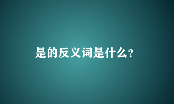 是的反义词是什么？