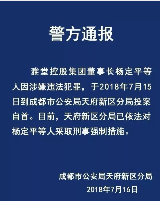 雅堂董事长自首是犯什么事？