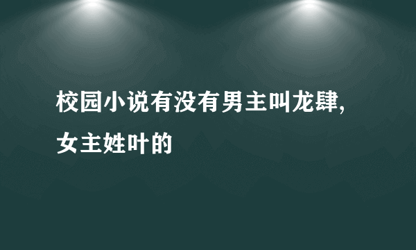 校园小说有没有男主叫龙肆,女主姓叶的