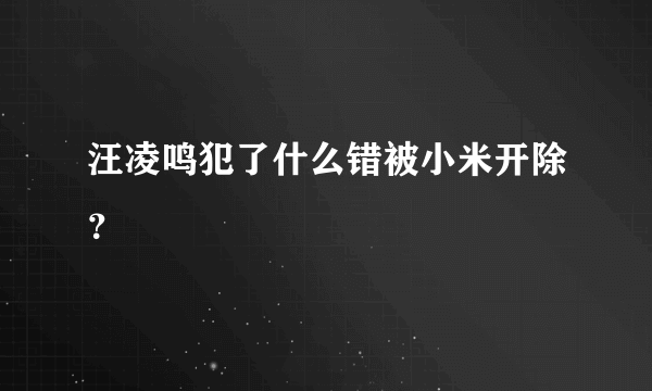 汪凌鸣犯了什么错被小米开除？