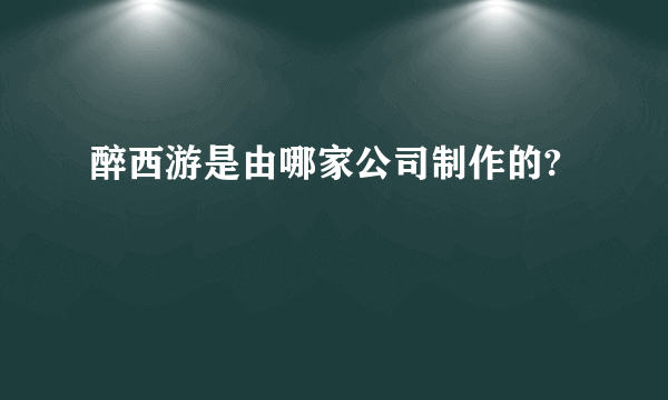 醉西游是由哪家公司制作的?