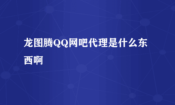 龙图腾QQ网吧代理是什么东西啊